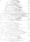 Fig 5