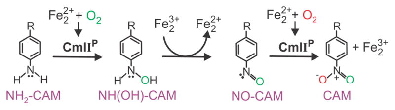 Scheme 1