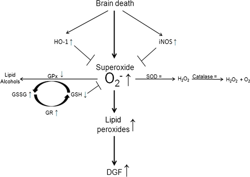 FIGURE 7.