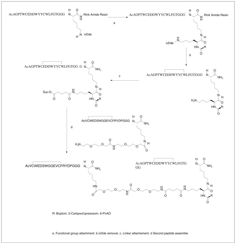 Scheme 5