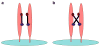 Fig. 9