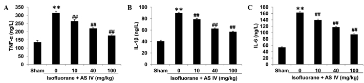 Figure 5.