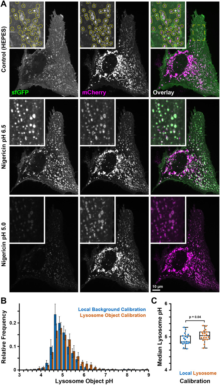 FIGURE 2: