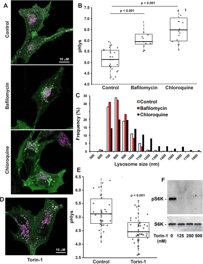 FIGURE 4: