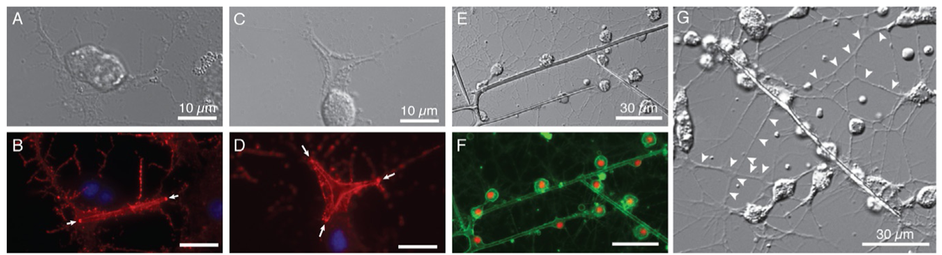 FIG. 13