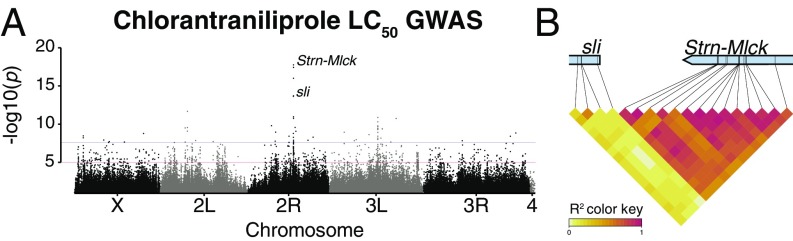 Fig. 2.