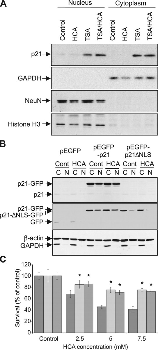 Figure 9.