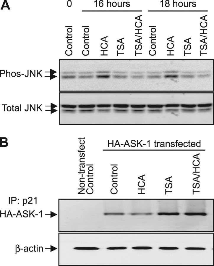 Figure 10.