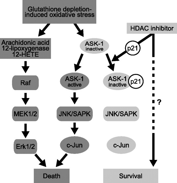 Figure 11.