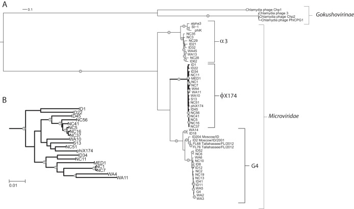 FIG 3