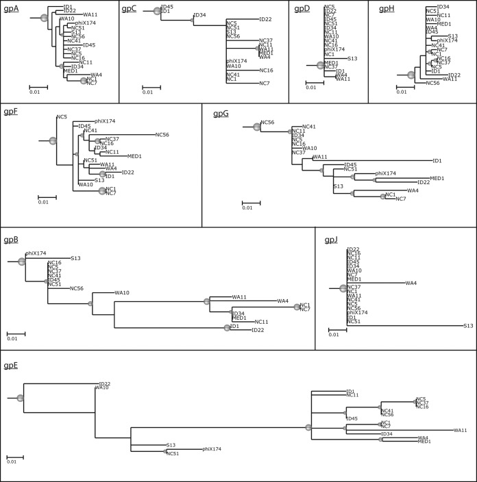 FIG 5