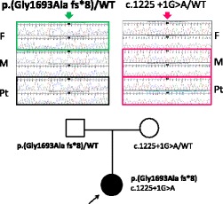 graphic file with name 12882_2017_682_Figa_HTML.jpg