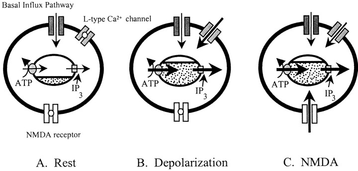 Fig. 8.