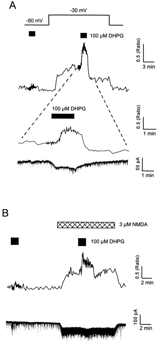 Fig. 7.