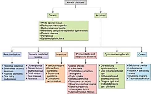 Flow Chart 1