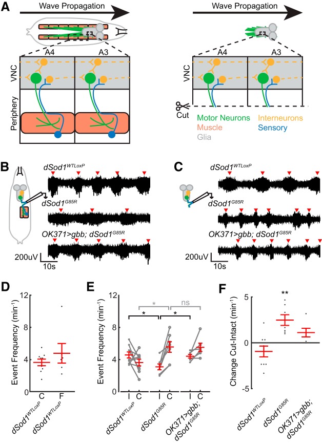 Figure 6.