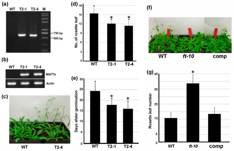 Figure 6