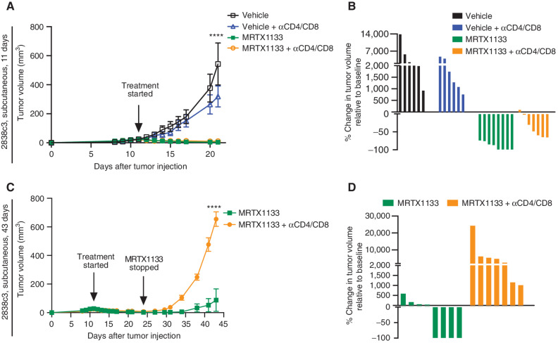 Figure 3. T cells contribute to the antitumor effects of MRTX1133. A, Tumor volumes (mm3) of vehicle-, vehicle +αCD4/CD8-, MRTX1133-, and MRTX1133 +αCD4/CD8-treated tumors (2838c3, subcutaneous). Growth curves show changes in tumor volume over 11 days of treatment. n = 7–8/group. Each symbol represents the average tumor volume. Error bars, SEM. P values were determined using a two-way ANOVA with the Sidak multiple comparisons test with significance indicated (****, P < 0.0001). Results representative of 2 independent experiments. B, Waterfall plot of vehicle-, vehicle +αCD4/CD8-, MRTX1133-, and MRTX1133 +αCD4/CD8-treated tumors showing changes in tumor volume after 11 days of treatment. Each bar represents a single tumor. n = 6–8/group. C, Tumor volumes (mm3) of MRTX1133- and MRTX1133 +αCD4/CD8-treated tumors (2838c3, subcutaneous). Growth curves show changes in tumor volume over 14 days of MRTX1133 treatment and subsequent 43 days of T-cell depletion. n = 7–8/group. Each symbol represents the average tumor volume. Error bars, SEM. Statistics were determined using a two-way ANOVA with the Sidak multiple comparisons test with significance indicated (****, P < 0.0001). Results are representative of 2 independent experiments. D, Waterfall plot of MRTX1133- and MRTX1133 +αCD4/CD8-treated tumors showing changes in tumor volume after the removal of MRTX1133. Each bar represents a single tumor. n = 7–8/group.