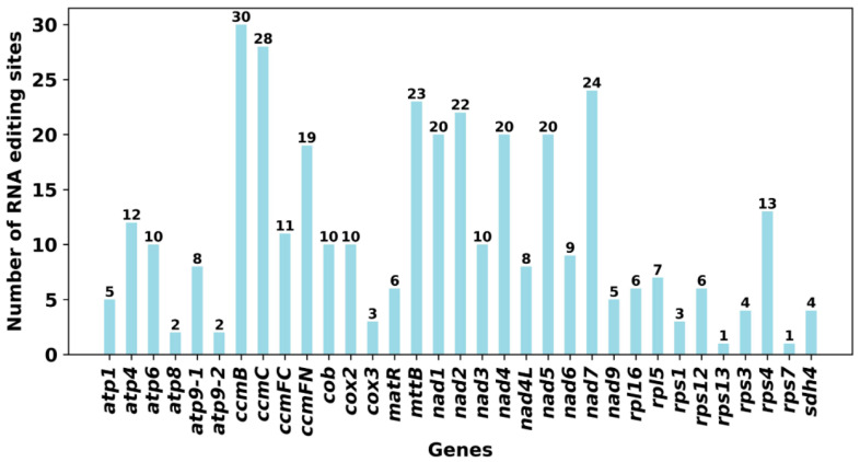 Figure 7