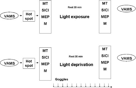 Fig. 1