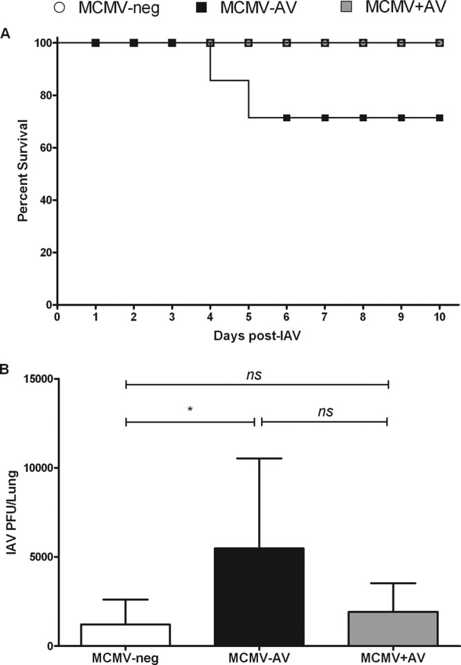 Fig 6