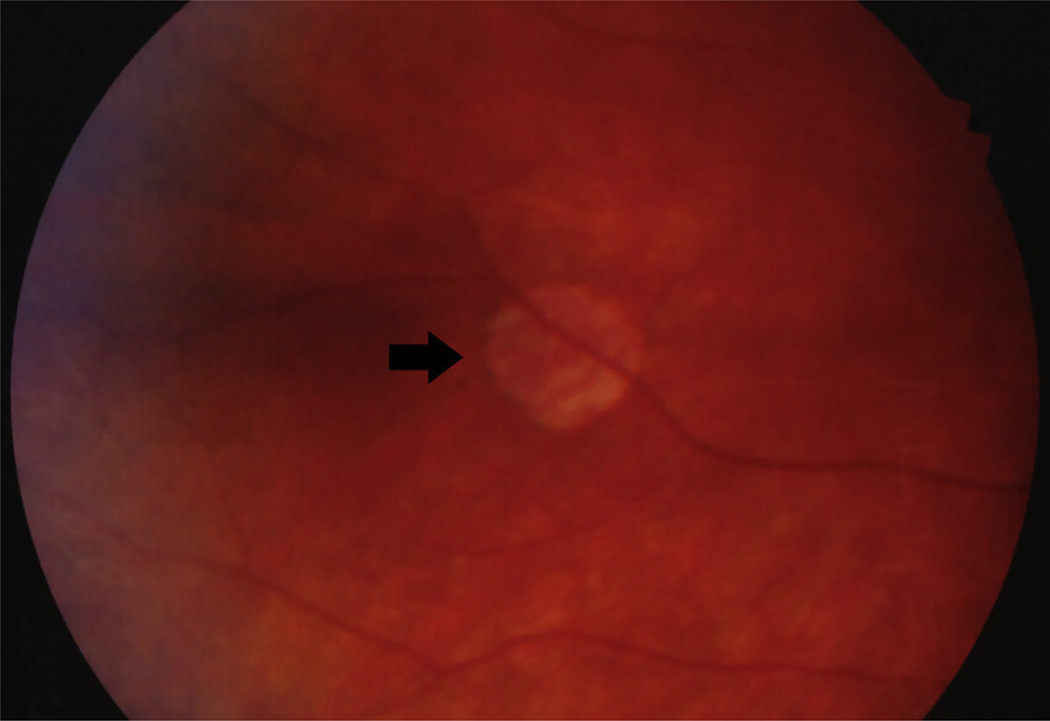 FIGURE 9