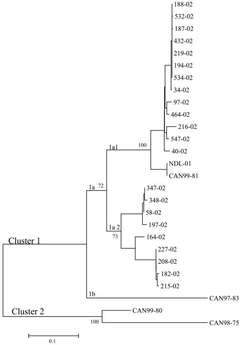 FIG. 1.