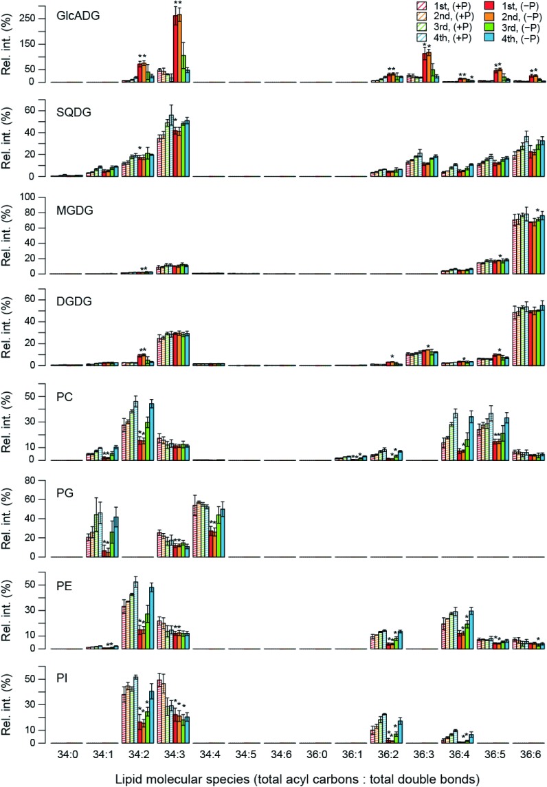 Figure 3. Profiles of polar glycerolipids in each trifoliate leaf of soybean grown under P-sufficient or P-limited conditions.