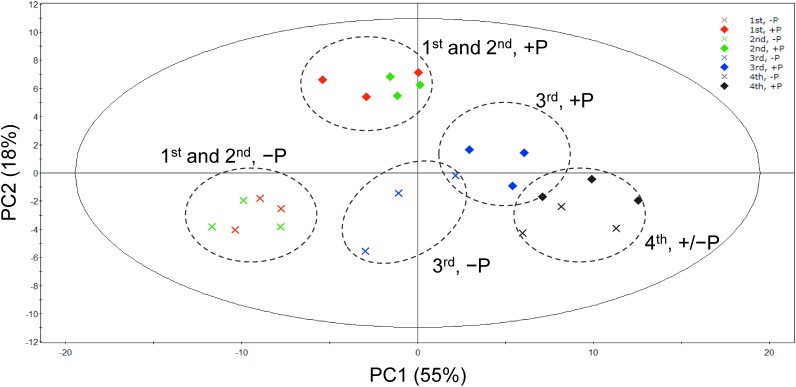 Figure 2. The score plot of PCA of lipidome data from each individual leaves of soybean grown under P-sufficient or P-limited conditions.