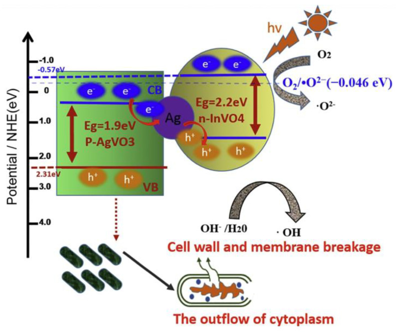 Figure 14