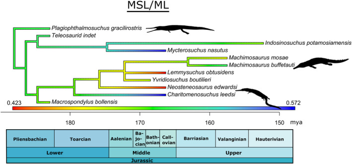 FIGURE 5