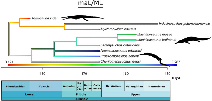 FIGURE 6