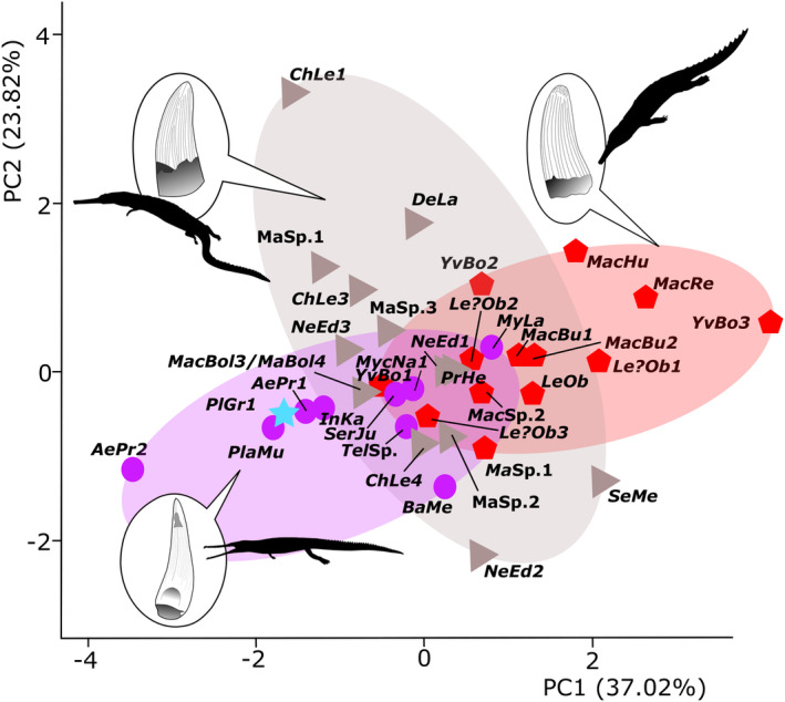 FIGURE 2