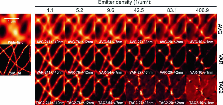 Extended Data Fig. 4