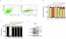 Extended Data Fig. 5