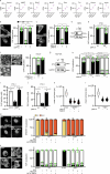 Extended Data Fig. 3