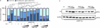 Extended Data Fig. 6