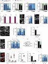 Extended Data Fig. 4