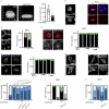 Extended Data Fig. 8