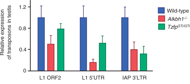 Figure 6.