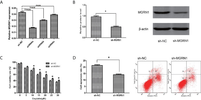 Figure 2