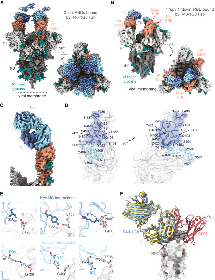 Figure 6