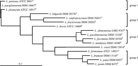 FIG. 3.