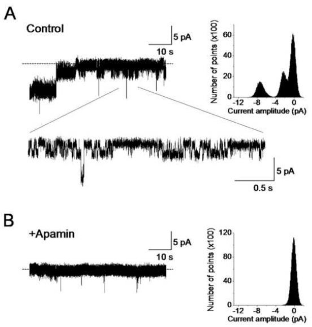 Fig. 12