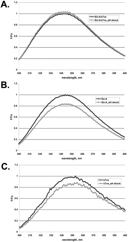 FIG. 10.