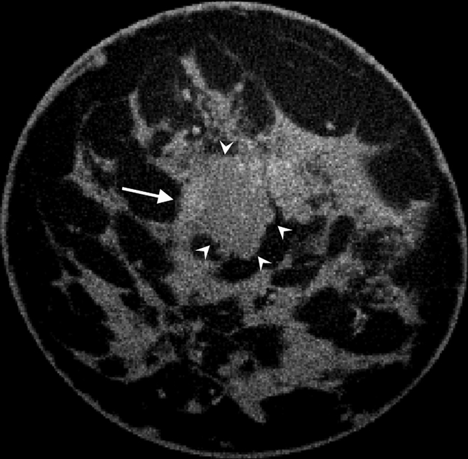 Figure 4c: