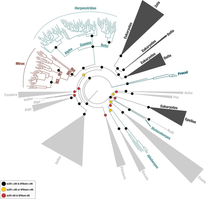 Extended Data Fig. 5