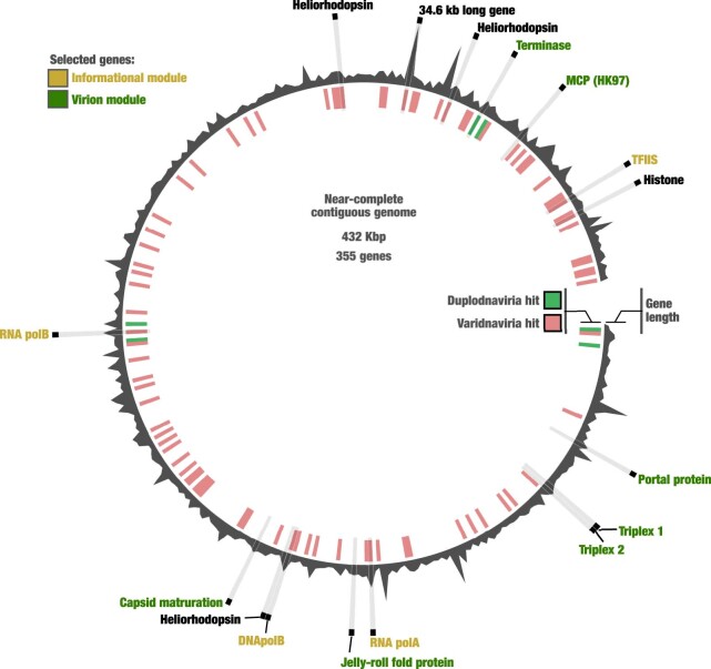 Extended Data Fig. 10