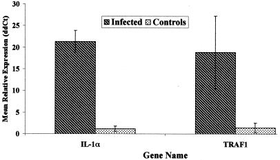 FIG. 2.