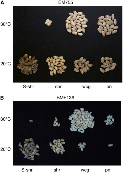 Figure 10.